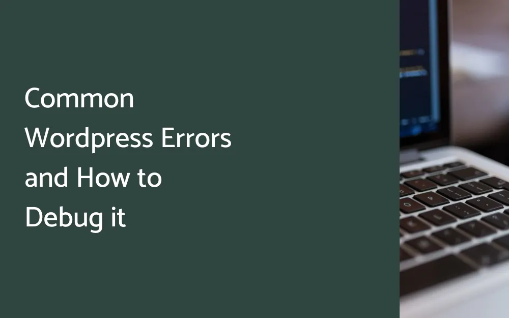 Common Wordpress Errors and How to Debug it - Lemonade