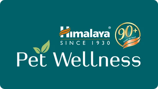 Client Himalaya Pets Wellness Lemonade