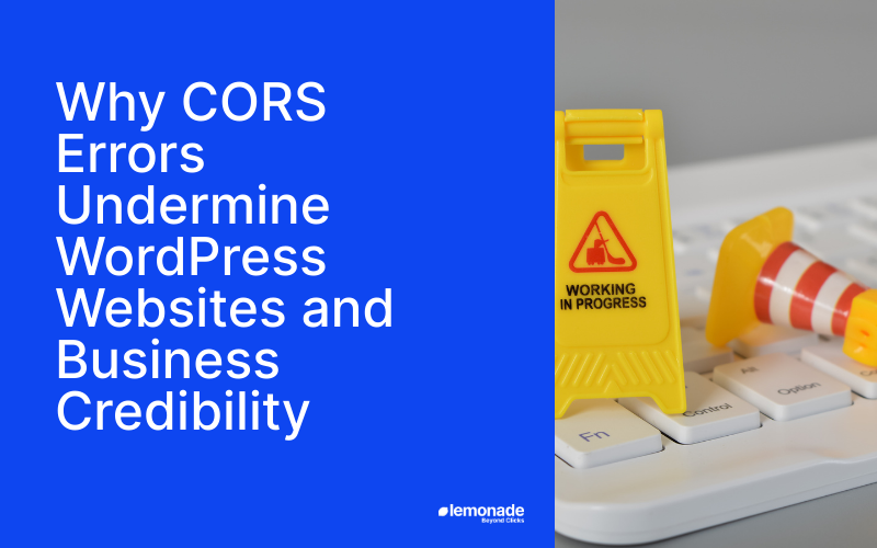 Image 27: Why Cors Errors Undermine Wordpress Websites And Business Credibility